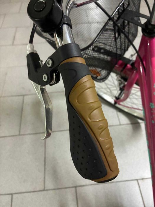 Bicicleta pasteleira