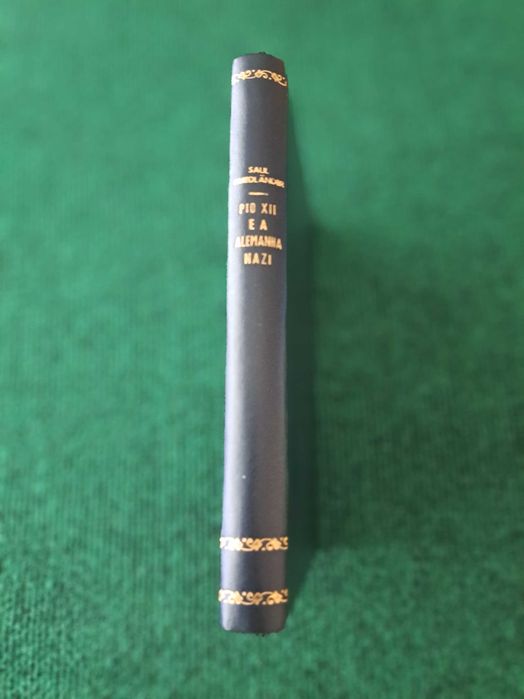 Pio XII e a Alemanha Nazi  - Saul Friedlander