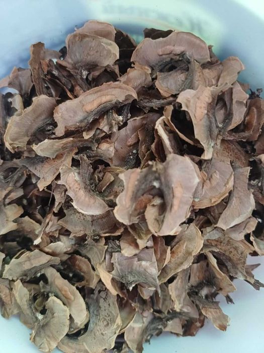 Перегородки грецкого ореха, 500 грам, перетинки волоського горіха