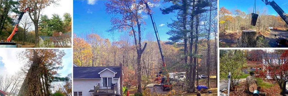 Демонтаж, розбирання будинків, знесення будівель, вивіз сміття