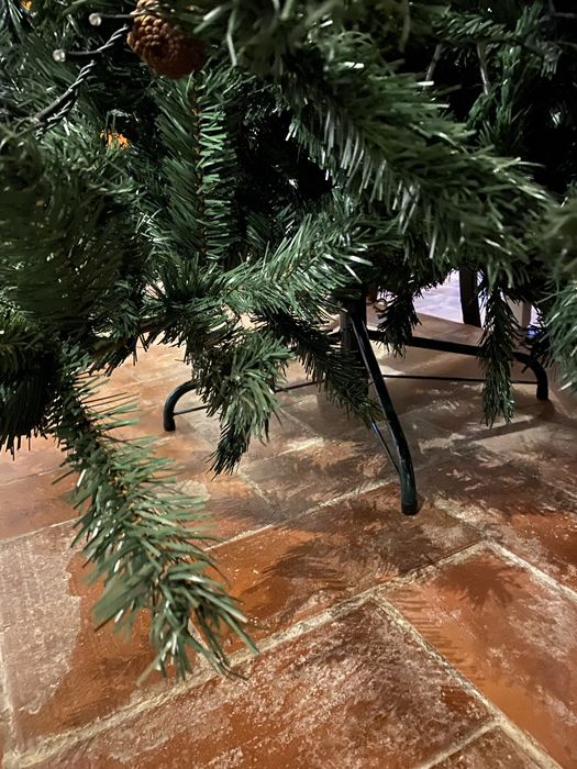 Pinheiro de natal