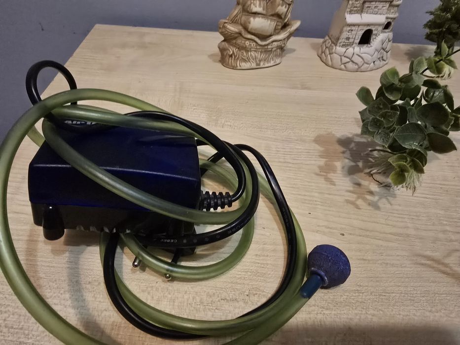 Roślinki,  filtr do akwarium