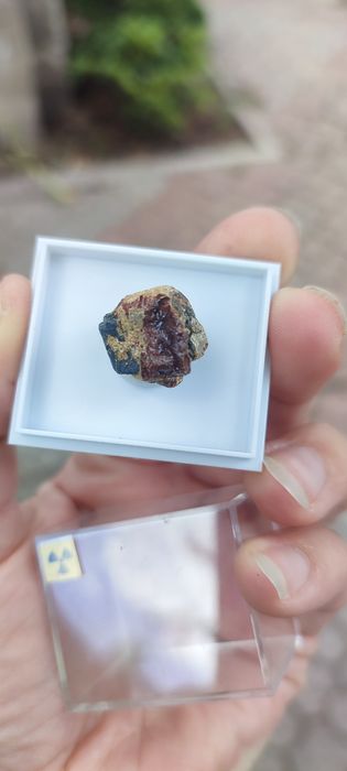 Minerały uranowe do kolekcji petscheckit