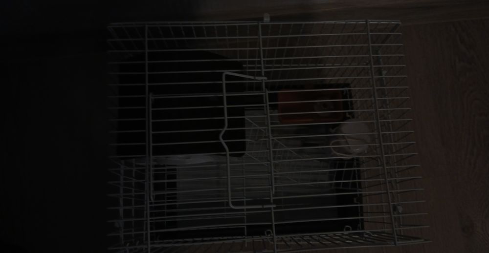 Продам клітку хомячку