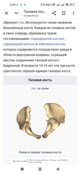 Профессиональный массаж