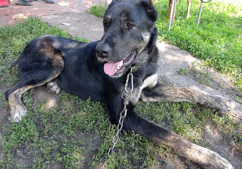 Терміново шукають родину