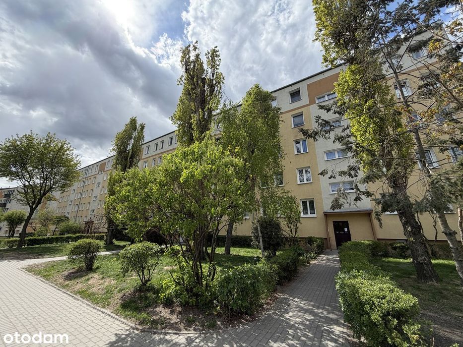 3 pokojowe mieszkanie na parterze