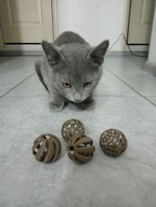 Іграшки для котів