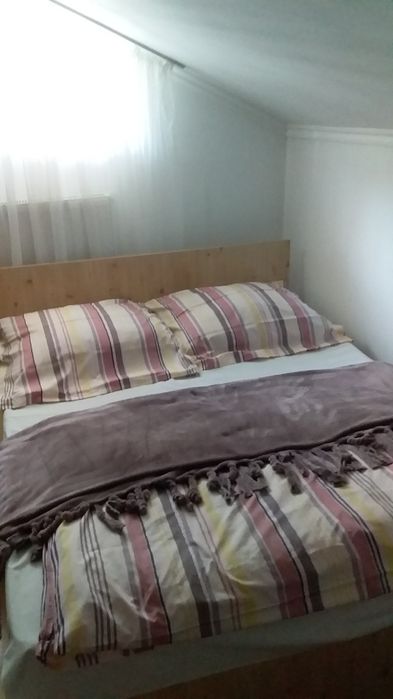 Зимова мелодія Карпат