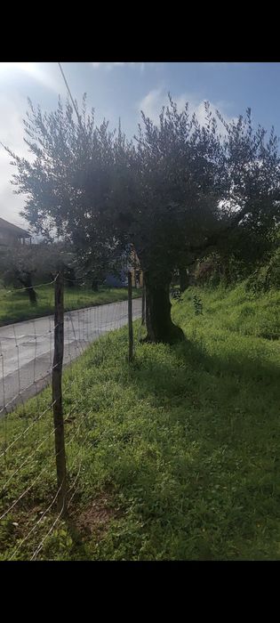 Excelente terreno para  construção. Ótima  localização