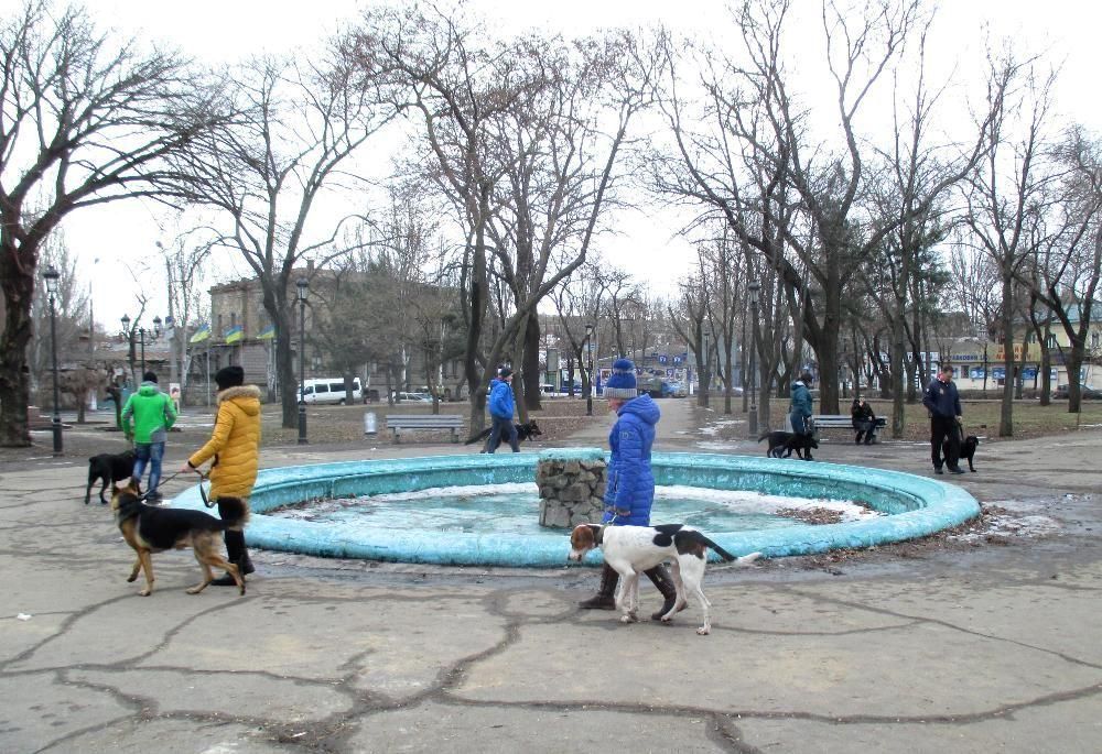 Дрессировка собак в Николаеве