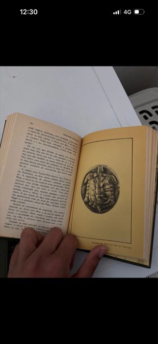 Livros os grandes enigmas