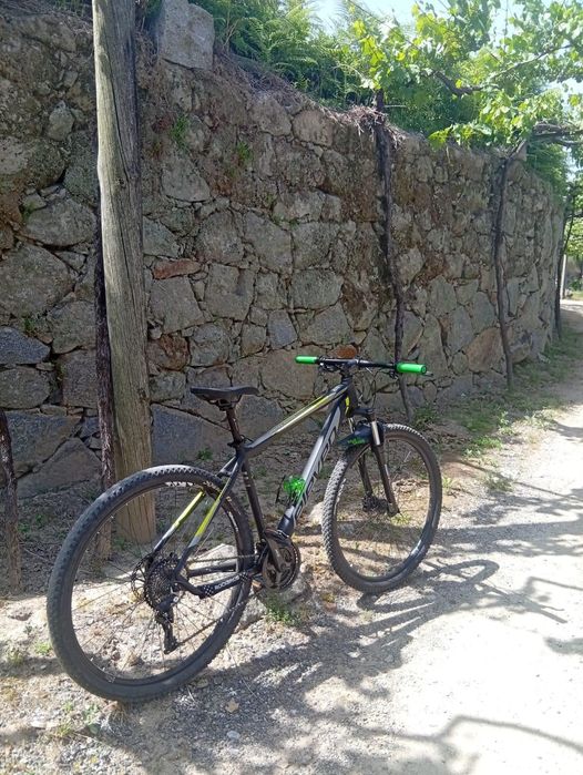 Eleven vortex series