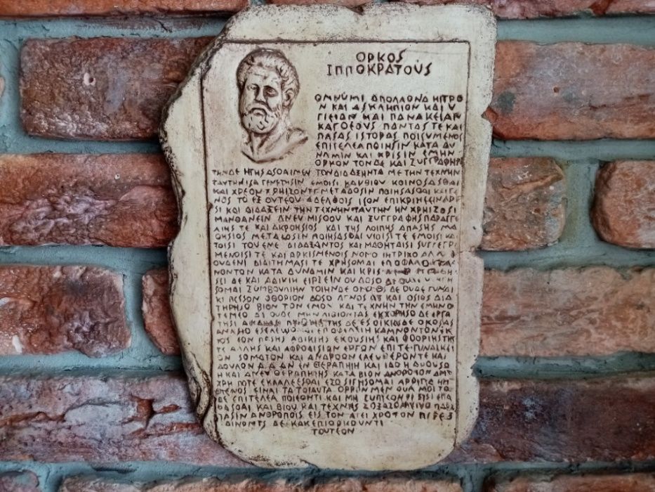 Накладка ,,Лев,,- 19см, гипс