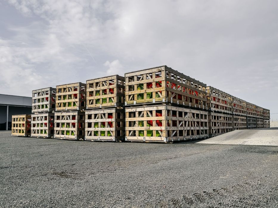 Claas Dominator 130 combine with C420 header з Німеччини