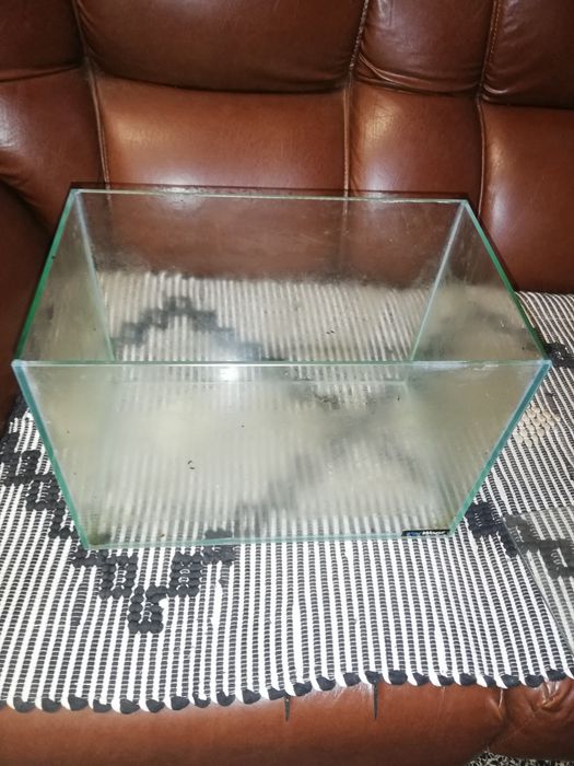 Aquários para peixes.