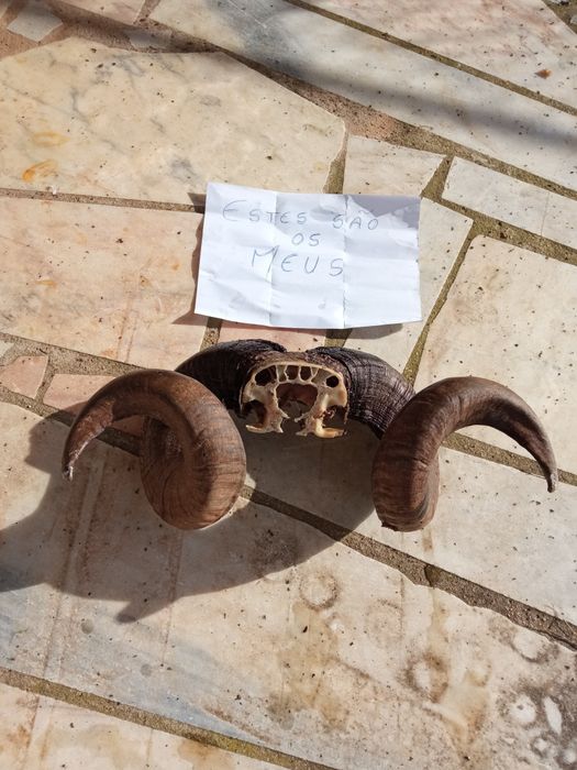 Excelente peça para decoração