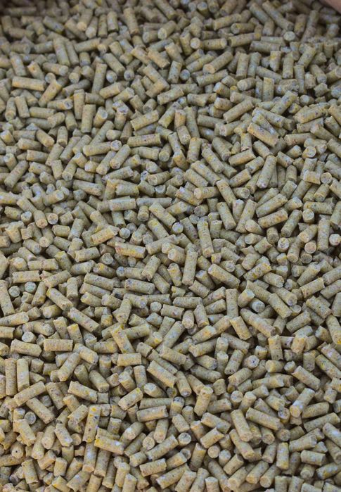 Повноцінний комбікорм для качок та гусей від 1 до 8 тижнів (старт)