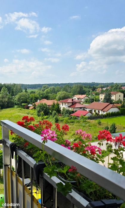 Stylowe 3 pokoje | Wysoki standard | Balkon | Winda | Osiedle Zielone