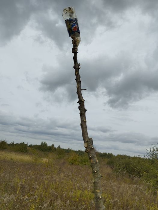Ділянка 12с садівництво Лукашівка