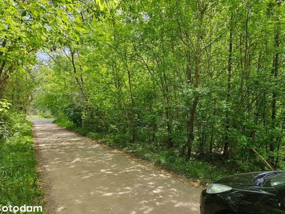 Działka rolno-budowlana 3008 m² – miejscowość Janopole, gm.Nowe Miasto - Widok 5