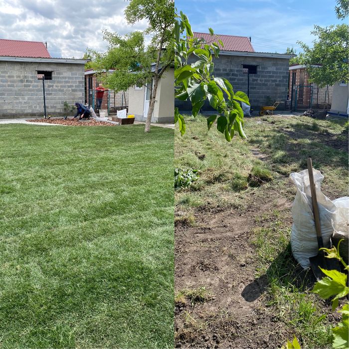 Рулонный/Посевной газон + Автополив + Обслуживание