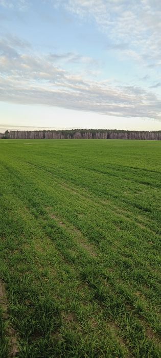 Продам 500 га ВІННИЦЬКА область