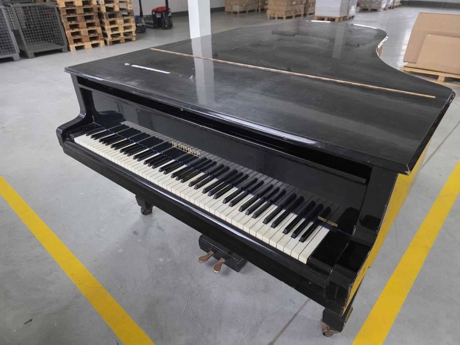fortepian bluthner