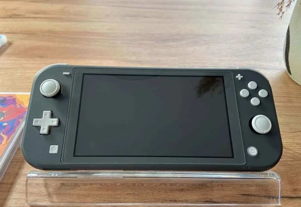 Nintendo switch little