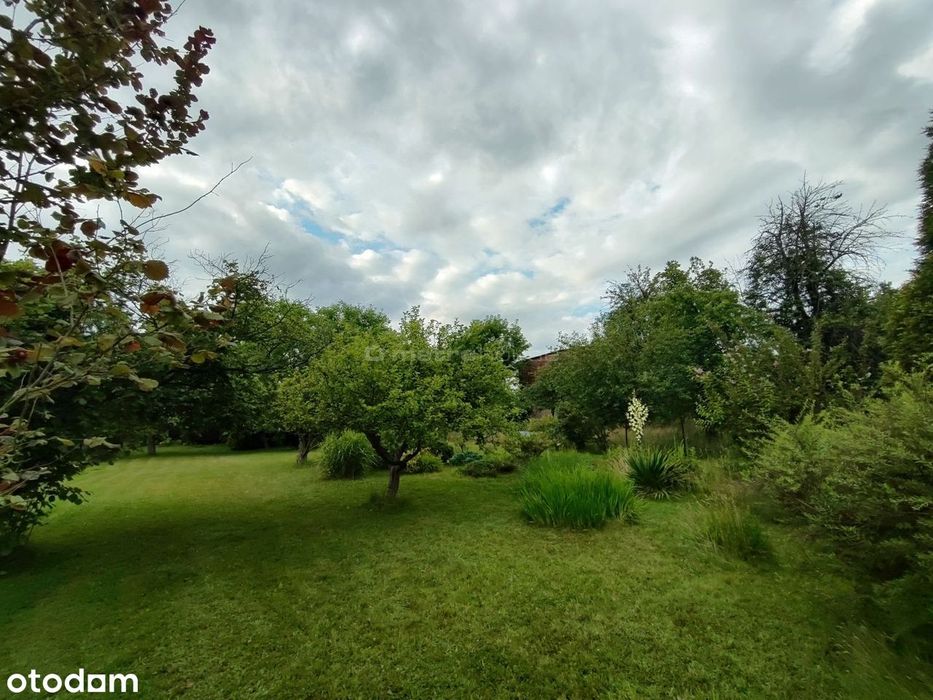 1615 m² - gotowy OGRÓD marzeń - Kamień