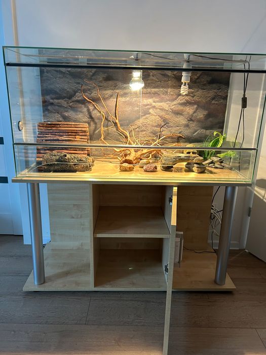 Terrarium 140x60x50 + szafka | pełne wyposażenie.