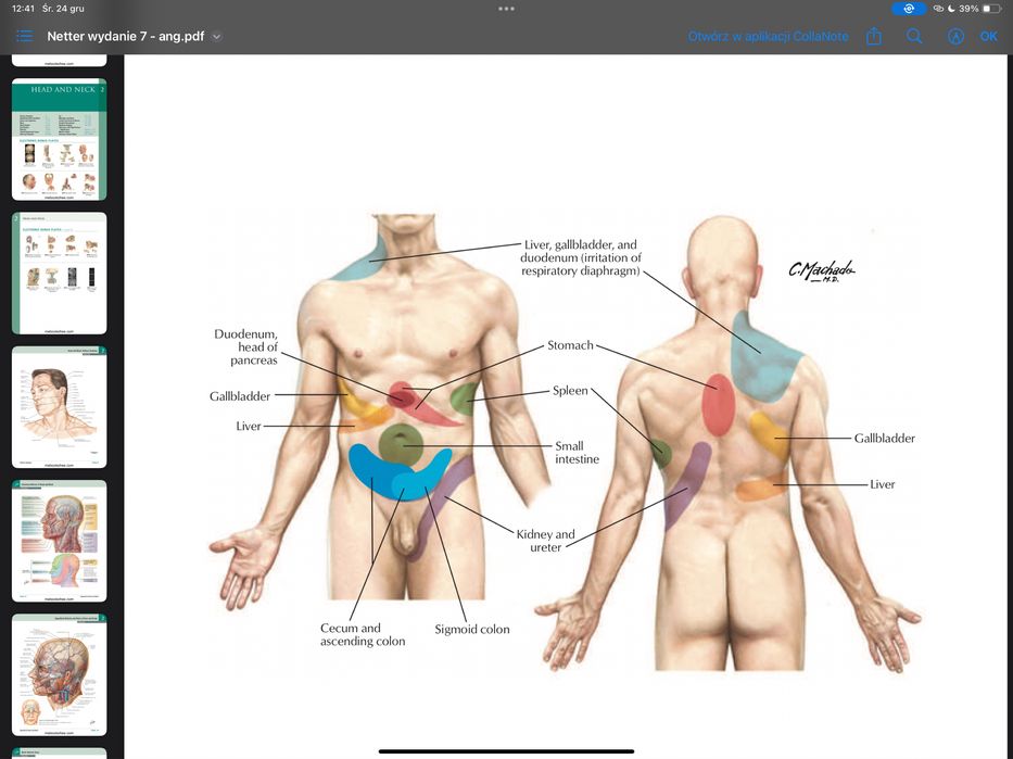 kompleksowu zestaw do nauki anatomi prawidłowej