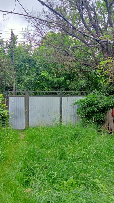 Простора садиба 0,5га (50сот.)біля  Брусилова (с.Ковганівка). Власник.