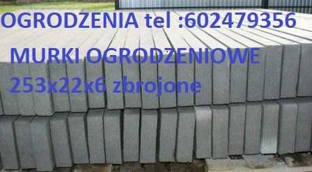 Murki ogrodzeniowe  2,53m/22/6