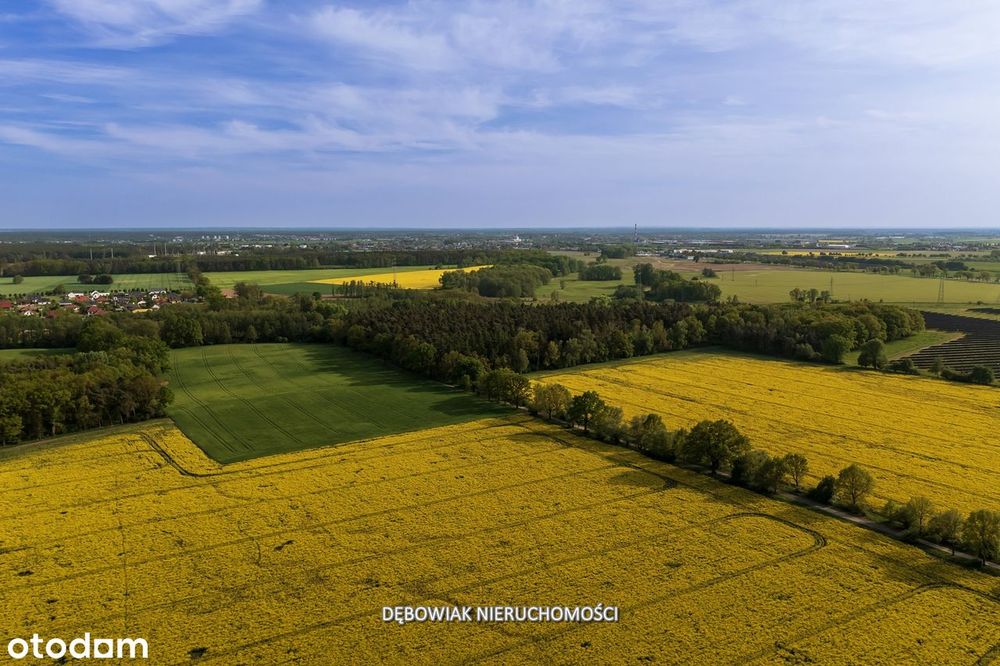 II etap sprzedaży / Atrakcyjne nowe osiedle w Gronówku / blisko Leszna
