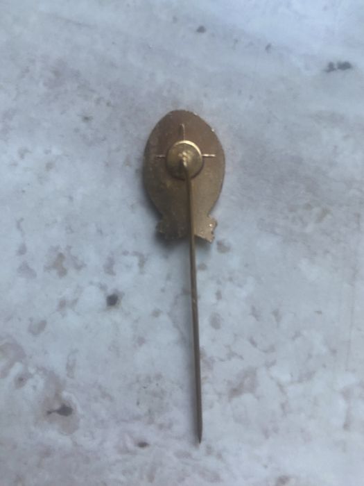 Pszypinka z 1189 roku