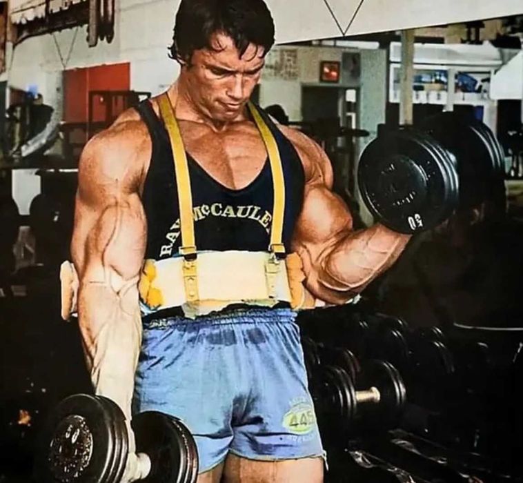 Regulowany ARM BLASTER Biceps w pełnej izolacji gryf hantle