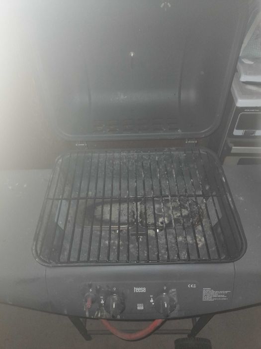 Dom Ogród grill sprzedam