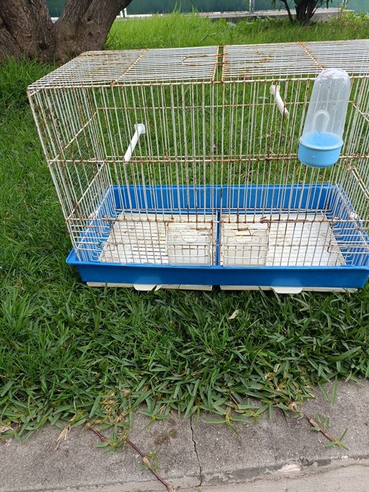Gaiolas para aves