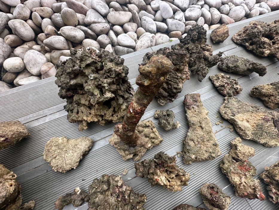 Rocha viva de aquário Reef (água salgada) 71kg