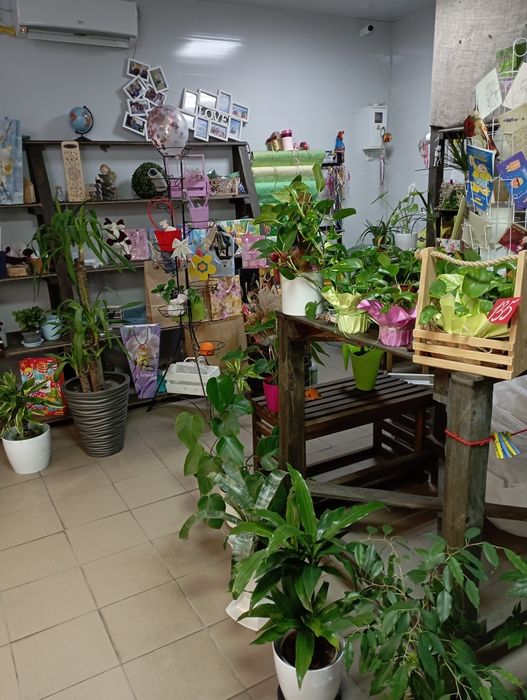 Продаж діючого квіткового бізнесу