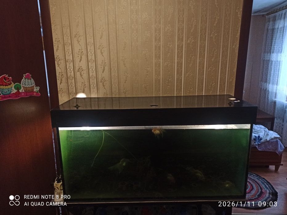 Срочно продам, Аквариум на 300литров.