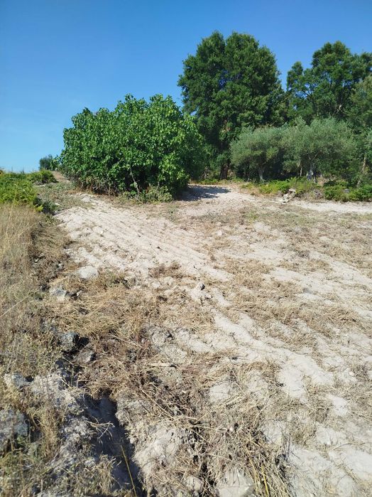 Horta agrícola em Alcains