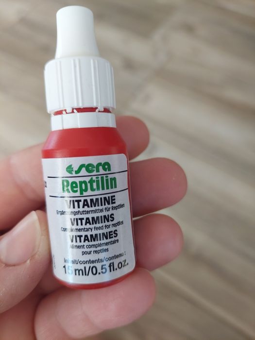 Witaminy wapno dla młodych żółwii, używane