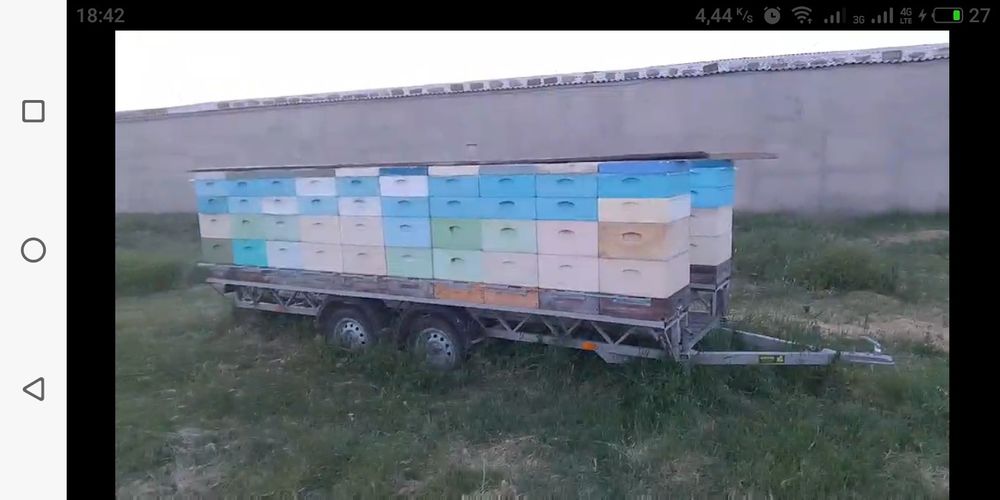 Продам пасику  з пчолами можно по штучно Улья  и всем компликтующем, ц