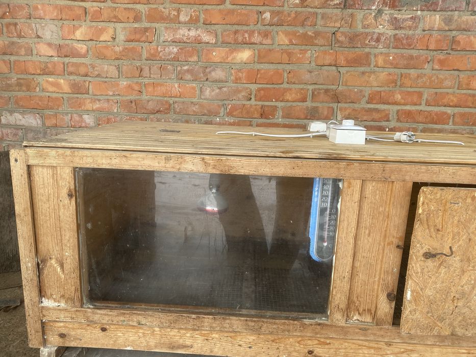 Брудер для курчат