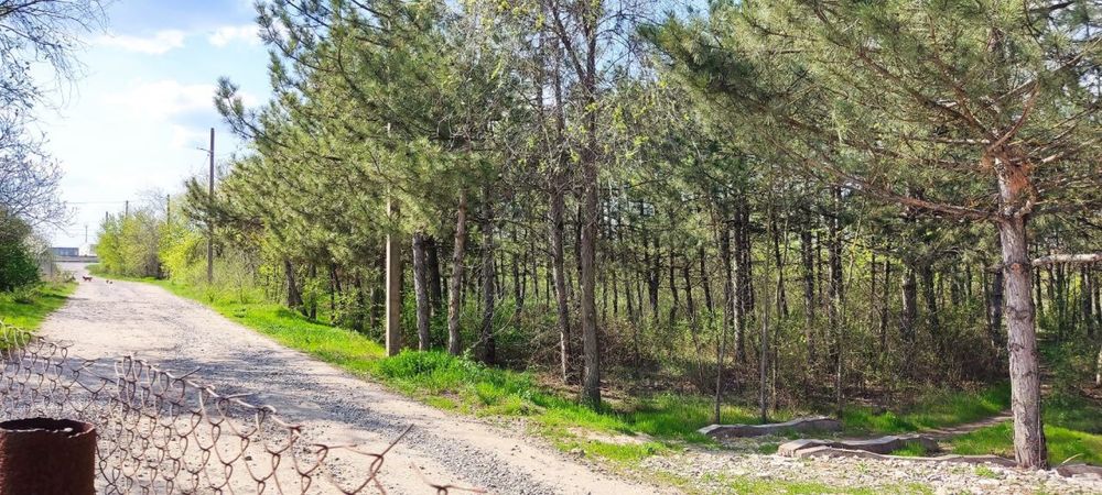 House by the address st. Vishnevaya (area 157 m²) - Atlanta.ua - photo 7