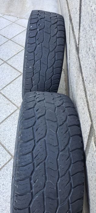 Penus 31 10,50 R 15