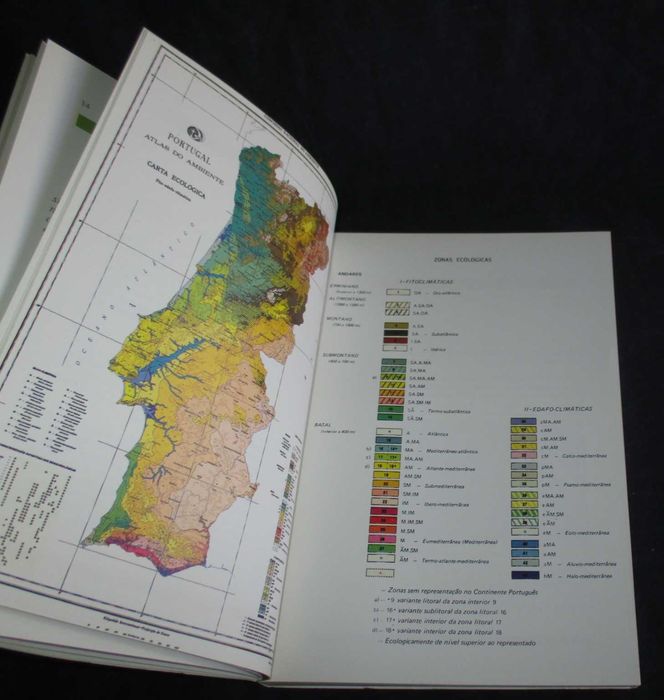 Livro O Eucalipto em Portugal José de Almeida Fernandes