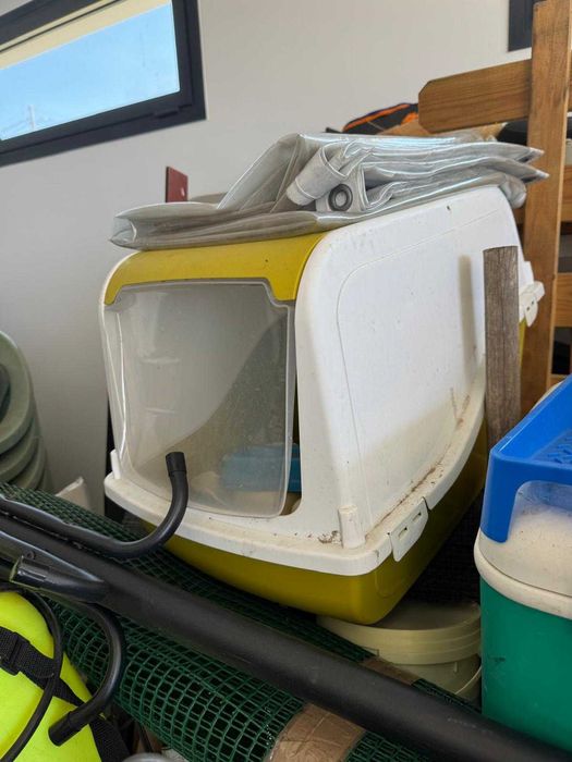 várias peças para gatos com tudo